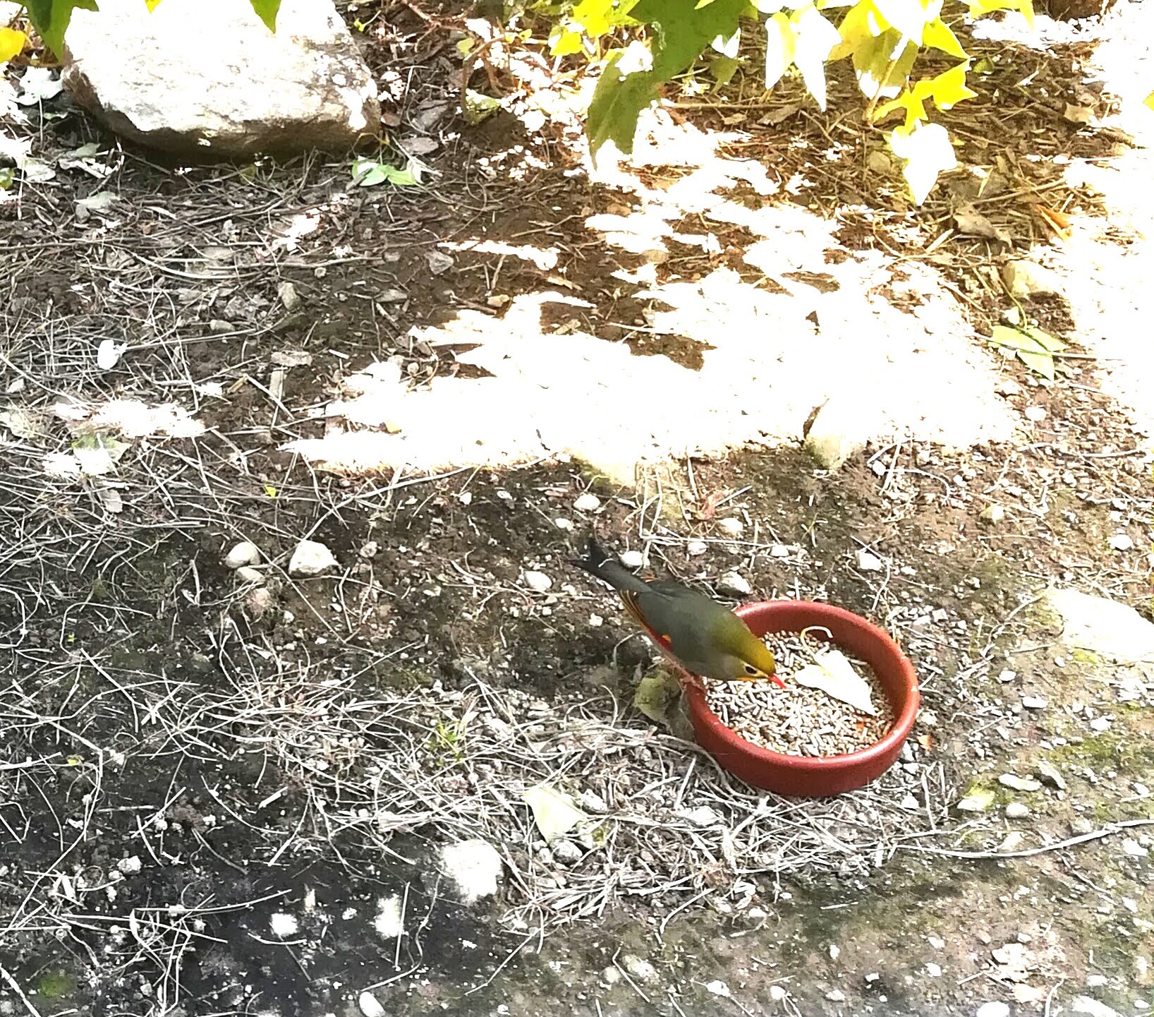 Photo n° 34 de l'avis de Sarah.L fait le 21/04/2018 à 18:44