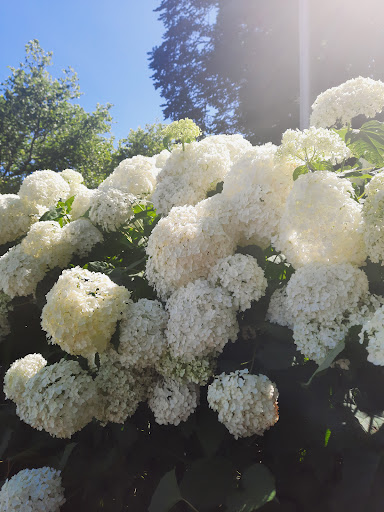 Park «George Rogers Clark Park», reviews and photos, 219 Riverside Dr, Covington, KY 41011, USA