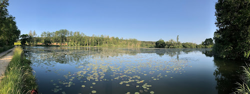 Etang de la venarde à Marcilly-sur-Tille