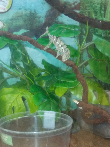 Pet Supply Store «Petco Animal Supplies», reviews and photos, 911 N Stratford Rd c, Moses Lake, WA 98837, USA