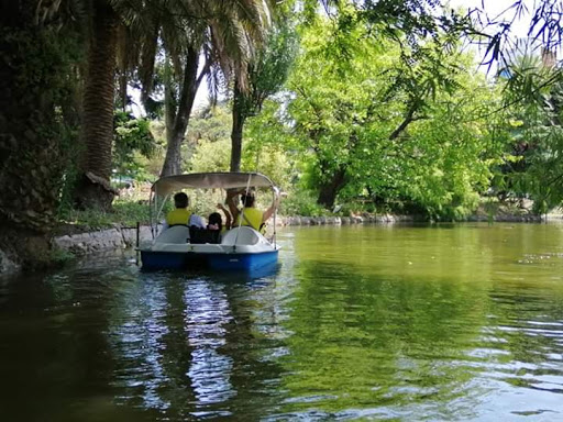 Lago del Parque Rodó