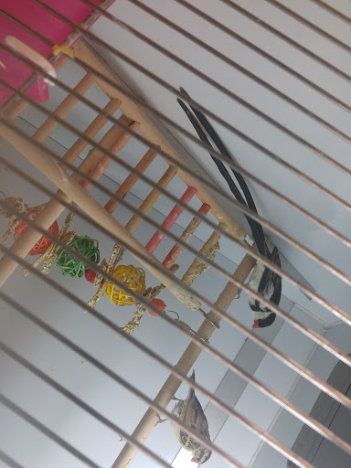 Pet Supply Store «Pet Supplies Plus», reviews and photos, 4923 Sheridan St, Hollywood, FL 33021, USA