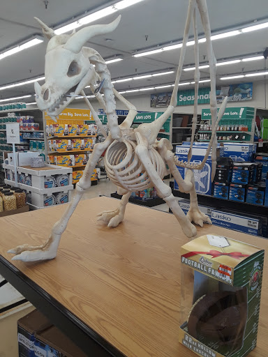 Discount Store «Big Lots», reviews and photos, 8700 La Riviera Dr, Sacramento, CA 95826, USA