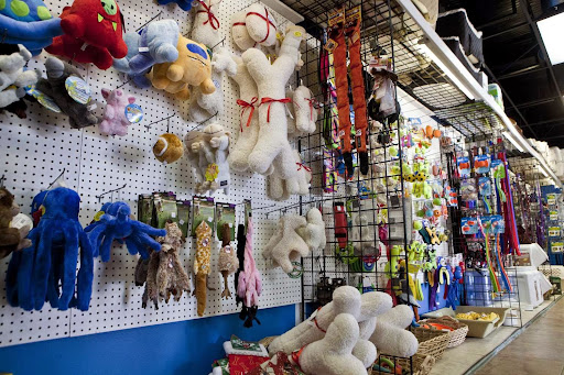 Pet Supply Store «Coast Pet Supplies», reviews and photos, 880 N Coast Hwy, Laguna Beach, CA 92651, USA