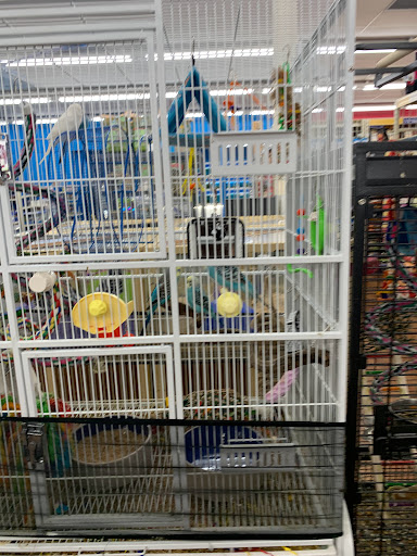 Pet Supply Store «Pet Supermarket», reviews and photos, 1125 Royal Palm Beach Blvd, Royal Palm Beach, FL 33411, USA