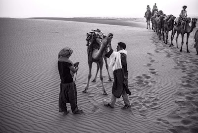Photos of Marrakech Camel trips