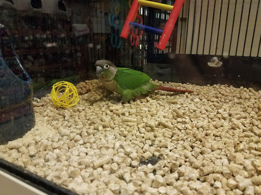 Pet Supply Store «PetSmart», reviews and photos, 401 S Mt Juliet Rd #645, Mt Juliet, TN 37122, USA