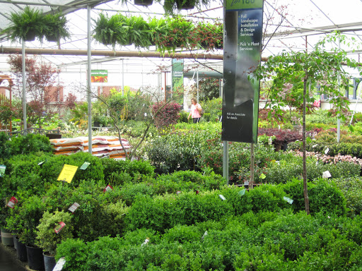 Garden Center «Pike Nurseries», reviews and photos, 615 W Crossville Rd, Roswell, GA 30075, USA