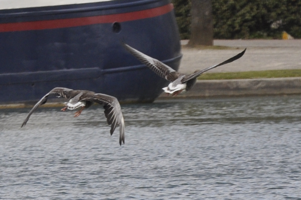 Photo n° 2 de l'avis de Bernard.I fait le 20/04/2021 à 06:14