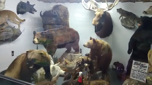 Grocery Store «Capon Valley Market», reviews and photos, 2673 Northwestern Turnpike, Capon Bridge, WV 26711, USA