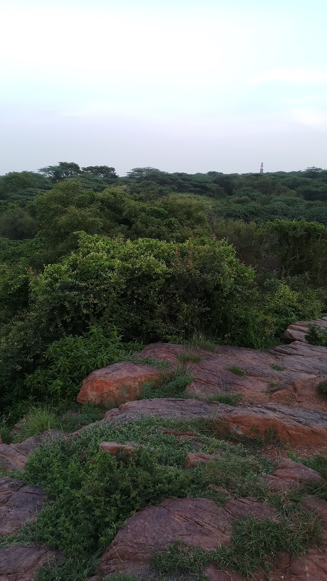 Peacock Point Sanjay van