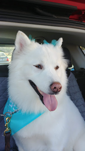 Pet Supply Store «PetSmart», reviews and photos, 745 W Huntington Dr, Monrovia, CA 91016, USA