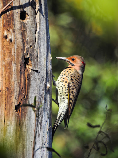 Park «Harford Glen Park», reviews and photos, 502 W Wheel Rd, Bel Air, MD 21015, USA