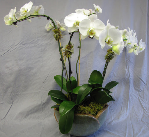 Florist «Guaranteed Plants & Florist», reviews and photos, 504 Locust Point Rd, Rumson, NJ 07760, USA