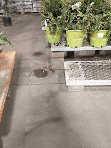 Home Improvement Store «The Home Depot», reviews and photos, 5010 Feather River Dr, Stockton, CA 95219, USA