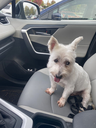 Pet Supply Store «PetSmart», reviews and photos, 1705 Mall of Georgia Blvd, Buford, GA 30519, USA