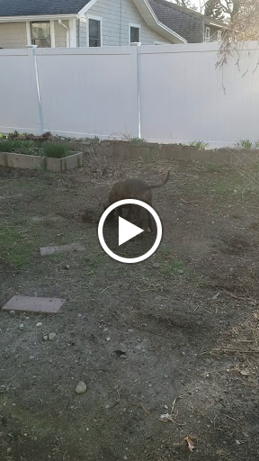 Park «Dorchester Shores Reservation Victory Road Park», reviews and photos, Victory Rd, Dorchester, MA 02122, USA