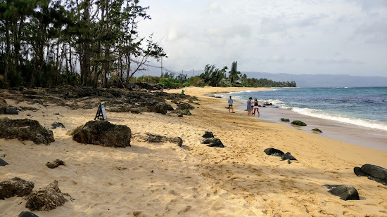 Laniakea Beach