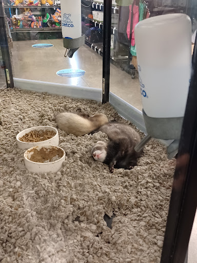 Pet Supply Store «Petco Animal Supplies», reviews and photos, 18200 NW Evergreen Pkwy, Beaverton, OR 97006, USA