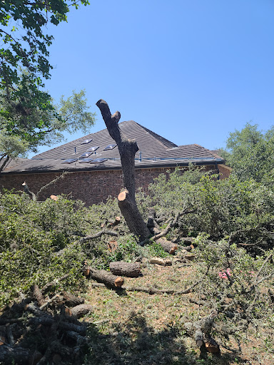 Las Vegas Tree Service 3