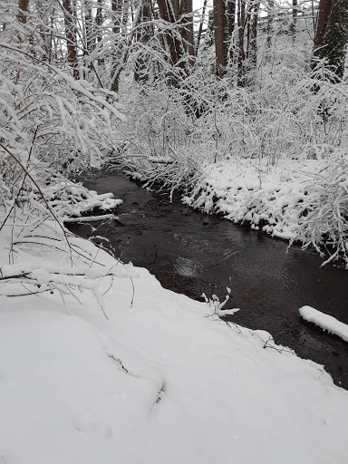 Park «Mill Creek Canyon Earthworks Park», reviews and photos, 100 Reiten Rd, Kent, WA 98030, USA