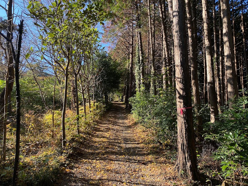 手葉井山城跡