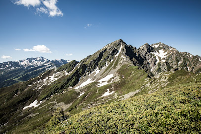 Lignes de crêtes - Benoit Collet - Accompagnateur en Montagne (Vosges - Jura - Alpes) Obernai