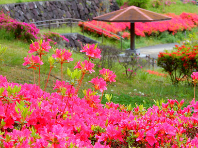 藤枝総合運動公園 花と水のテラス