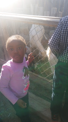 Zoo «Jr Pony Parties», reviews and photos, 1744 N Leonard Ln, Las Vegas, NV 89108, USA