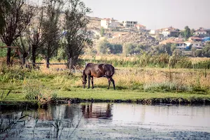 Hurmetci sazligi image