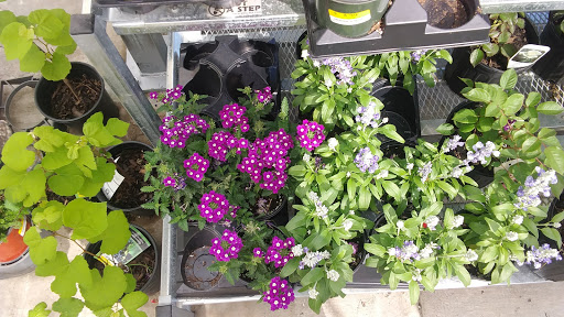 Hardware Store «Jeds Hardware», reviews and photos, 5415 Aldine Mail Rte Rd, Houston, TX 77039, USA