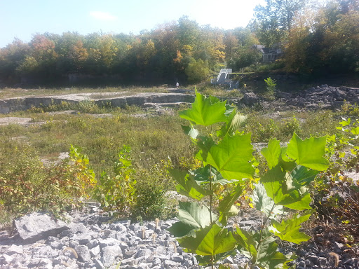 Nature Preserve «Sawyer Quarry Nature Preserve», reviews and photos, 26940 Lime City Rd, Perrysburg, OH 43551, USA