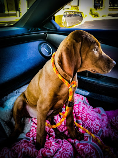 Pet Supply Store «Mud Bay», reviews and photos, 1706 S 320th St, Federal Way, WA 98003, USA