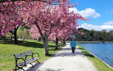 Brookline Reservoir Park image