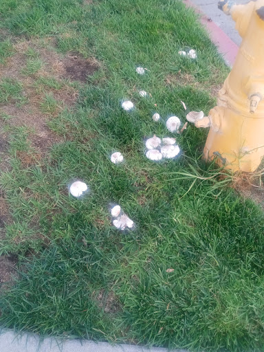 Golf Club «Industry Hills Golf Club at Pacific Palms Resort», reviews and photos, 1 Industry Hills Pkwy, City of Industry, CA 91744, USA