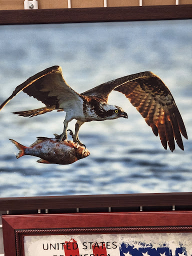 Shopping Mall «North Hanover Mall», reviews and photos, 1155 Carlisle St, Hanover, PA 17331, USA