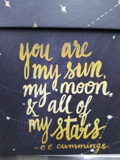 Discount Store «Dollar General», reviews and photos, 105 Morton Ave, Martinsville, IN 46151, USA