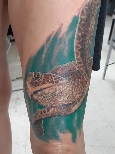 Tattoo Shop «Armadillo Reds Tattoo Saint Cloud», reviews and photos, 1601 13th St, St Cloud, FL 34769, USA