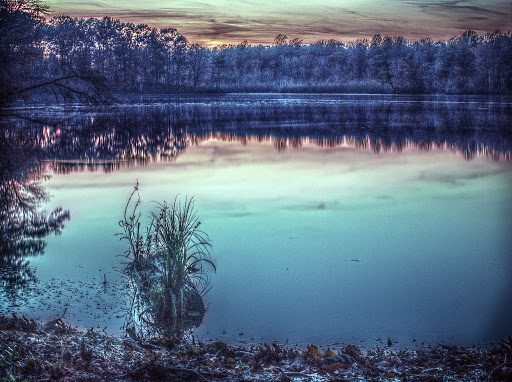 Park «Killens Pond State Park», reviews and photos, 5025 Killens Pond Rd, Felton, DE 19943, USA