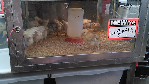 Pet Store «El Granero Pet Shop», reviews and photos, 15700 Atlantic Ave, Compton, CA 90221, USA