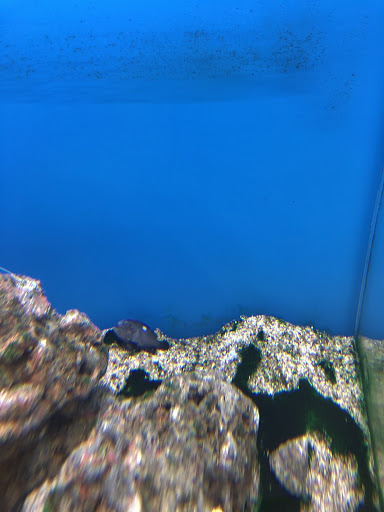 Pet Supply Store «Petco Animal Supplies», reviews and photos, 11633 Ulysses Ln NE #200, Blaine, MN 55434, USA