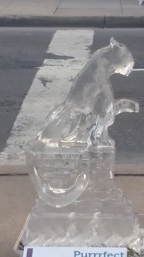 Record Store «The Record Exchange», reviews and photos, 151 N Market St, Frederick, MD 21701, USA