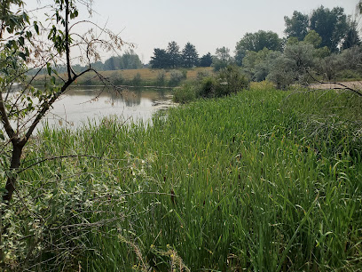 Connaught Pond
