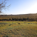 Photo n°39 de l'avis de Paulina.o fait le 20/02/2022 à 10:35 sur le  Monte do Ramalho à Ervedal