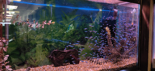 Pet Store «Animal House Pets, LLC», reviews and photos, 3101 Richmond Rd # 201, Lexington, KY 40509, USA