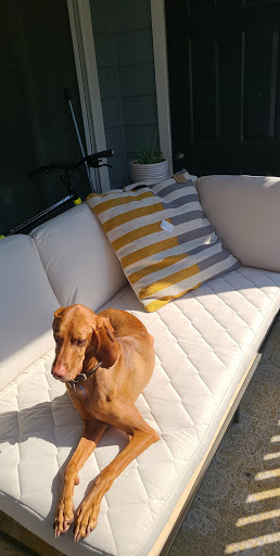 Department Store «HomeGoods», reviews and photos, 8700 Preston Rd #111, Plano, TX 75024, USA