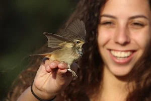 International Birding and Research Center Eilat image
