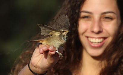 International Birding and Research Center Eilat