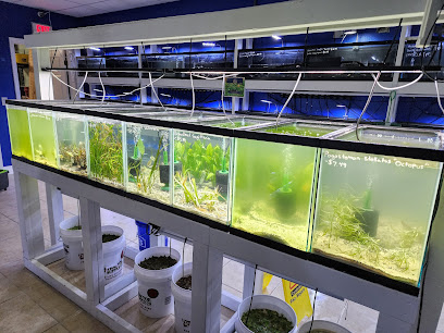 Shop Market Aquariums