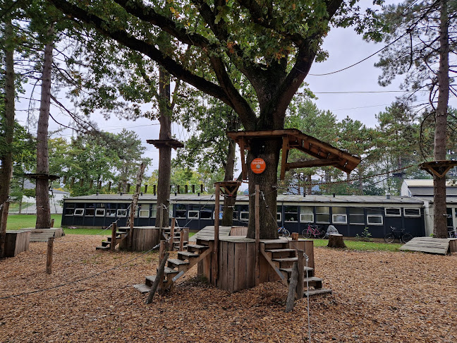 Comentarii opinii despre GoMonkey Forest Gladsaxe